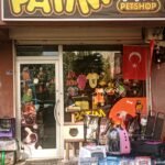Patili Dostlarımızın Güvenli Limanı: Patim Petshop